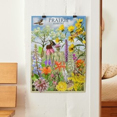 Prairie Habitat Nature Poster – Native Wildflowers and Wildlife of North America