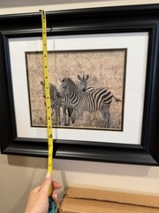 Framed Safari Animal Prints Elephant Zebra 17×14 Inch Decorative Paper Art