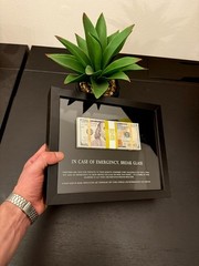 Motivational Money Frame “In Case of Emergency Break Glass” Luxury Gift Decor