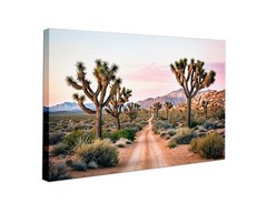 Joshua Tree Canvas Art, Desert Landscape Print, California Western Modern Decor