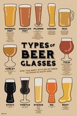 Types of Beer Glasses and Styles of Beer Reference Art Print Poster 24×36