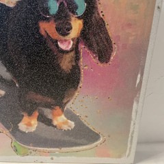 Dachshund Dog Wrapped Canvas ON SKATEBOARD Framed Wall Art Decor 14×14”