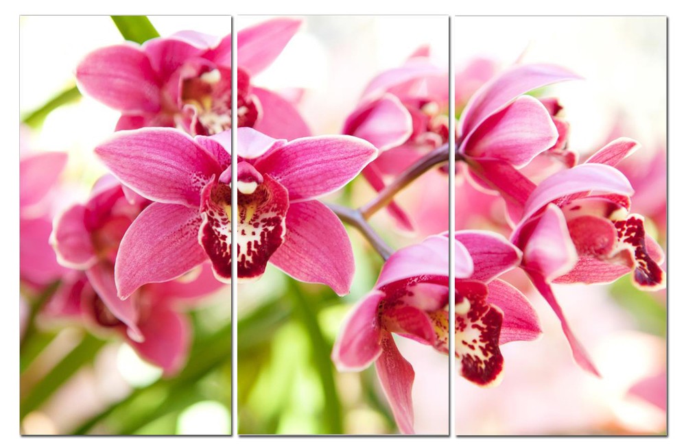 Split canvas art 12″x24″ 3 pieces Orchids