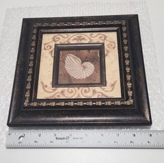 Set of 3 Framed Seashell Wall Art Coastal Beach Decor 9×9