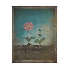 Vintage BOTANICAL Garden Wall Art, Retro Floral Nature Decor, Flower Bud Garden