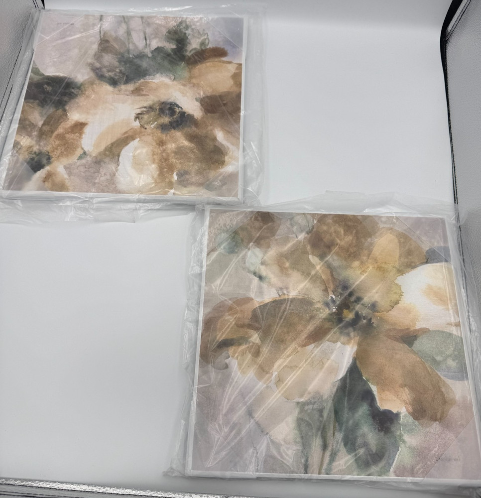 Stupell Home Decor Danhui Nai Abstract Floral 2-Piece Wall Art Set