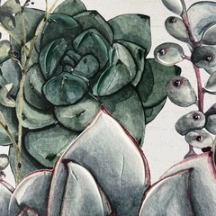 Succulent Botanical Canvas Wall Art Set 2 Green Plant Prints 16×16 Gallery Wrap