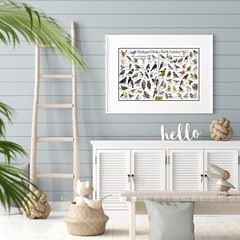 Backyard Birds of North Carolina Bird Identification Nature Poster