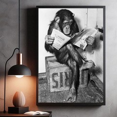 Chimpanzee Reading Newspaper Poster – Vintage Black & White Wall Art – Unframed