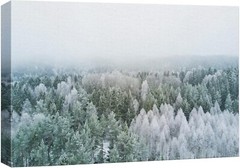 32″x48″ – Canvas Print Wall Art – Winter Snow Covered Forest Art Decor
