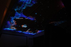 Home Theater Painting Kit, Glow in the Dark, Star Ceiling, DIY Mural