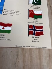 1991 Map Poster Operation Desert Storm Graphic Military Defense War Flags Order