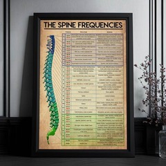 Spine Frequencies Poster, Spine Anatomy Poster, Human Spine, Chiropractor Gift