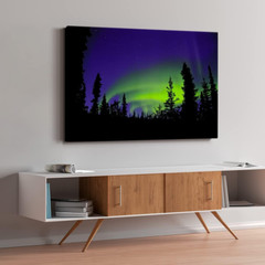 Northern Lights Wall Art Nature Forest Landscape Canvas Print 32”X48” Aurora Bor