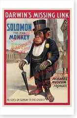 Solomon The Man Monkey Darwins Missing Link 1908 Victorian Poster