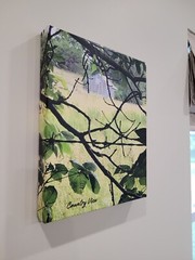 11×14 Canvas Photo Print – Country View