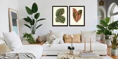 Leaf Botanical Prints Wall Art Set of 2 Beautiful Antique Vintage Unframed