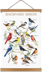 Wall Art, Backyard Birds Canvas Poster, Identification Poster Chart (12X17 Inch