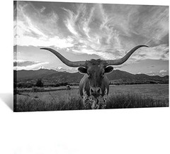 Black and White Texas Animal Canvas Wall Art Highland Cattle with Long Horns …