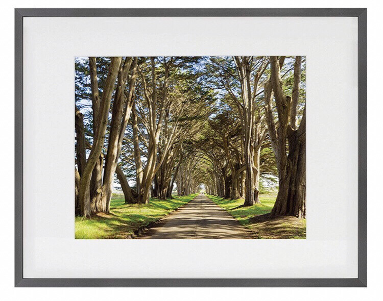 Framed Wall Art 11 x 14 Gunmetal Frame. FREE SHIPPING