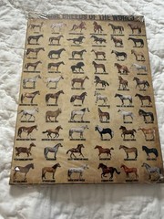 Horses Of The world wall art poster 17×12” education science farm cottage