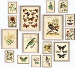 LARGE 11×14 Vintage Botanical Wall Art Decor Plant Posters For Room Aesthetic
