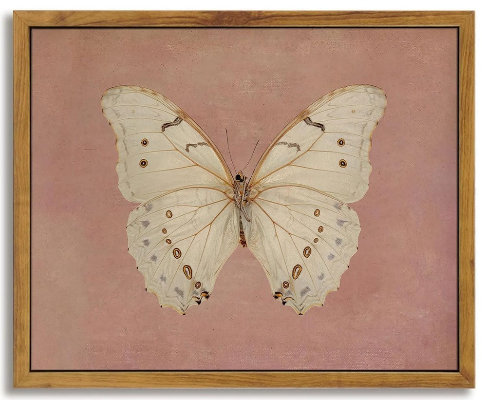 Framed Vintage Butterfly Canvas Wall Art Antique White 10″L x 8″W,