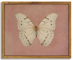 Framed Vintage Butterfly Canvas Wall Art Antique White 10″L x 8″W,