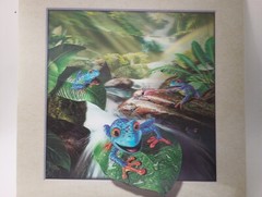 Jungle Frogs Colorful Lenticular Picture 3D 15.5″ X 15.5″ (Pic 11.5″ Insert)