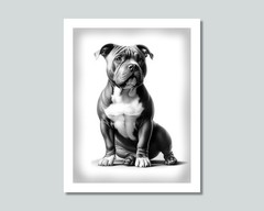 AMERICAN BULLY Dog Photo Picture Pet Print in 8×10, 8.5×11 or 11×14 WB2b