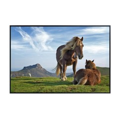Biandintz eta Zaldiak Horse Wildlife Poster – Nature Landscape Wall Art Print