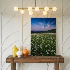 Sweeping View Of A Vibrant Field Filled With Delicate White Daisies Wall Art