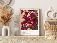 Dark Red Orchid Botanical Art Print Magenta Floral Poster Modern Home Wall Decor