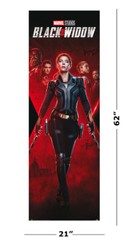 Black Widow – Marvel Door Movie Poster (Unfinished Business) (Size: 21″ x 62″)