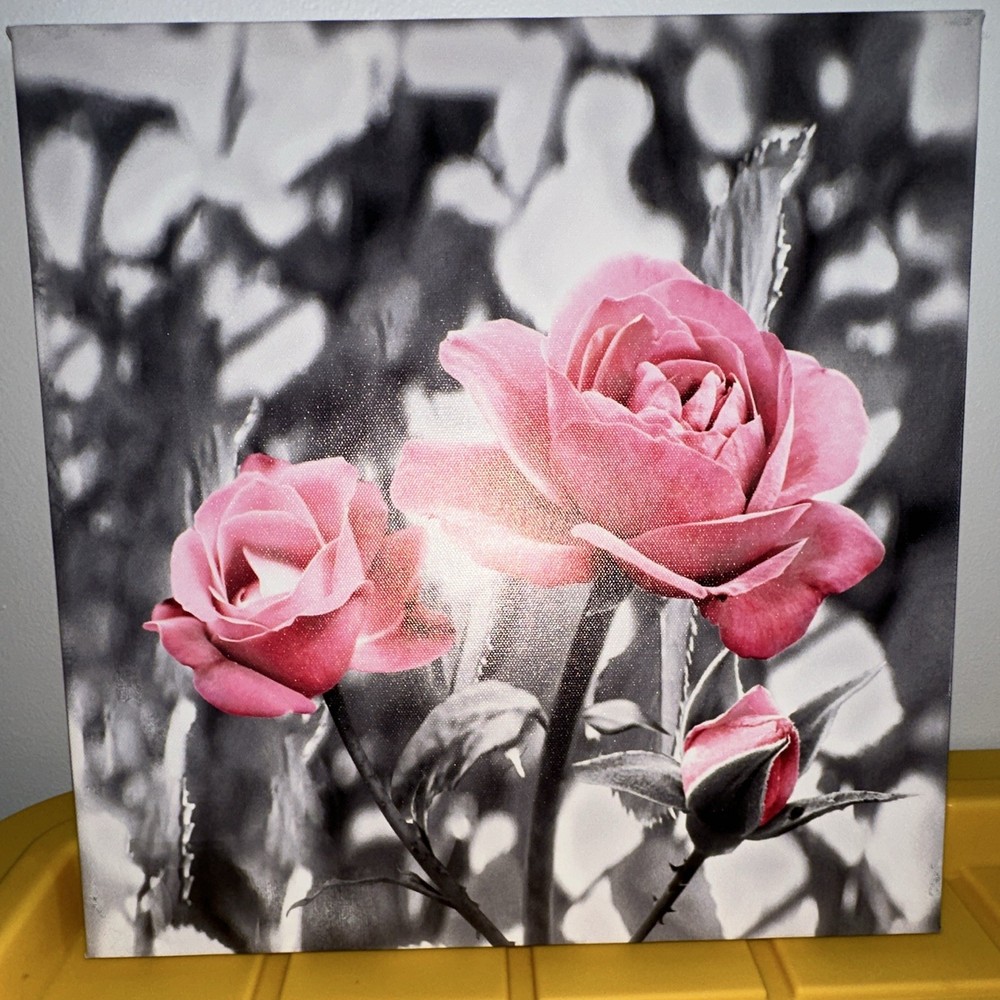 Pink Roses Floral & Gardens Print, Square, Black White Gray Background