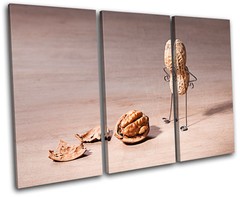 Comedy Walnut Brain Food Kitchen TREBLE CANVAS WALL ART Picture Print VA