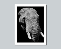 Africa Savanna ELEPHANT Photo Picture 8×10 11×14 16×20 w/Framed Option (W3)