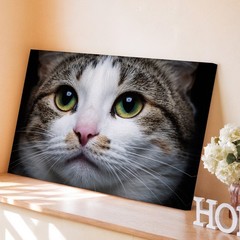 Create An Image Of A Playful Cat’s Close-up Face, Emphasizing Its Large Wall Art