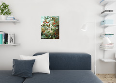 Trochilidae Variety Hummingbirds Ernst Haeckel Bird Pictures Wall Decor Beautifu