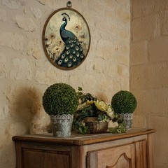 Vintage Peacock Round Wall Art,Canvas Prints with floral Design, Rustic Bird …