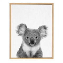 24 In. X 18 In. «Koala II» by Tai Prints Framed Canvas Wall Art