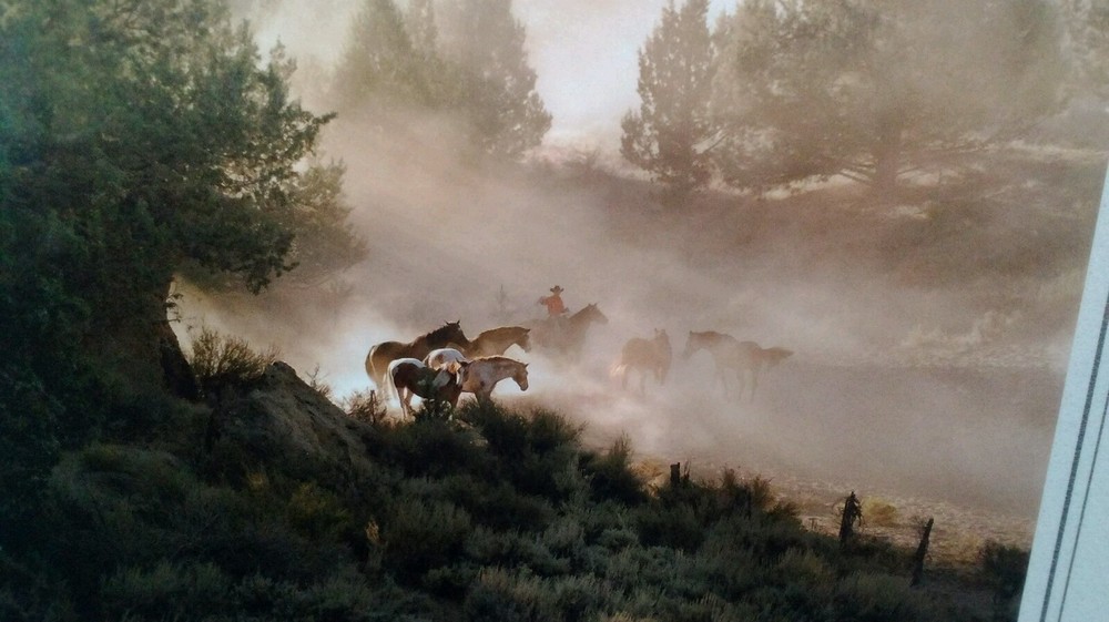 Cowboy in Dust Fine Art HQ Photo Print New Matted 8×10 Steve Doan Signed Sealed