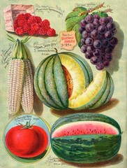 15688.Wall Decor Poster.Interior Art.Seed Catalog Fruits Food Kitchen Garden