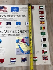 1991 Map Poster Operation Desert Storm Graphic Military Defense War Flags Order