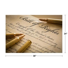 Bill of Rights Second Amendment Photo Art Print Poster 24×36 inch
