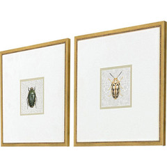 Nai 2 Piece Framed Canvas Transfer Animal Art Print 17 In. X 17 In.