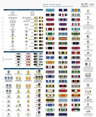 U.S. Armed Forces Ranks and Ribbons POSTER 24 X 36 Inches