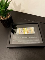 Motivational Money Frame “In Case of Emergency Break Glass” Luxury Gift Decor