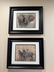 Framed Safari Animal Prints Elephant Zebra 17×14 Inch Decorative Paper Art