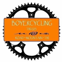 Cycling Poster Alcyon Poster Vintage Bike Fine Art Bicycle 24″ x 36″